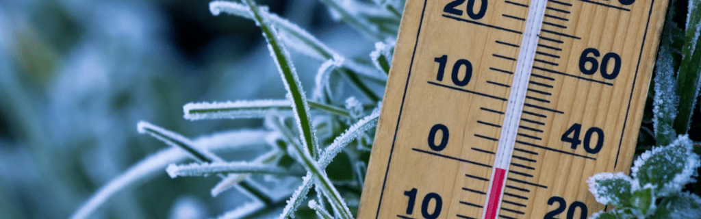 Close up of a thermostat in a snow-covered plant.